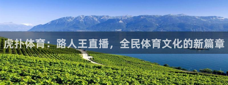 河豚nba直播免费高清在线：虎扑体育：路人王直播，全民体育文化的新篇章