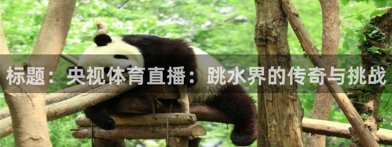 河豚免费nba在线直播