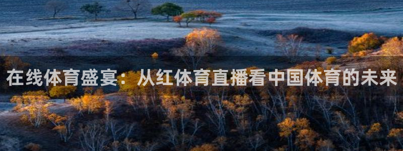 河豚nba直播官网