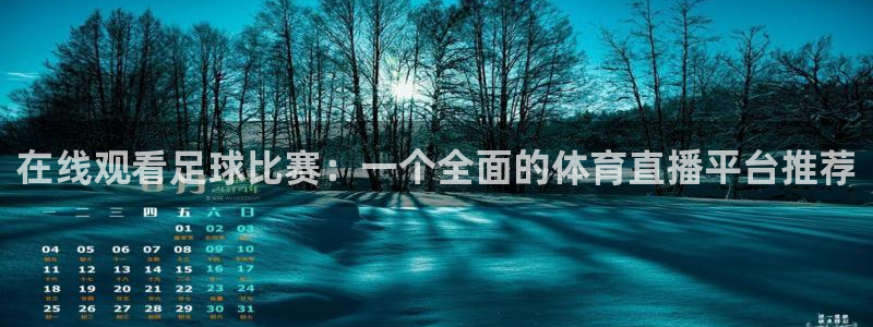 河豚nba直播app下载：在线观看足球比赛：一个全面的体育直播平台推荐