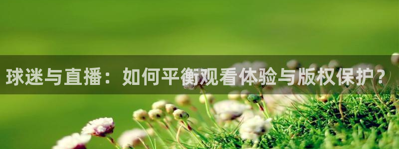 河豚nba体育直播：球迷与直播：如何平衡观看体验与版权保护？