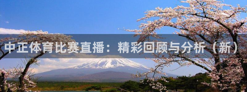 河豚的直播网：中正体育比赛直播：精彩回顾与分析（新）